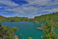 Keindahan Pulau Raja Ampat, Surganya Petualang Dunia di Ujung Papua!