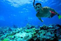 cara snorkeling yang aman dan nyaman
